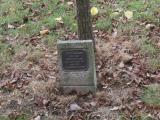 image of grave number 931252